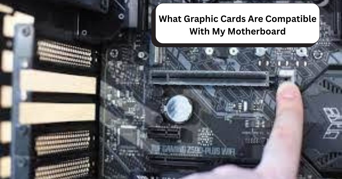 What Graphic Cards Are Compatible With My Motherboard